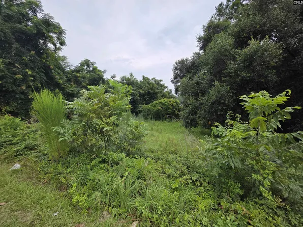 0 Hillsboro Rd, Orangeburg, SC 29115