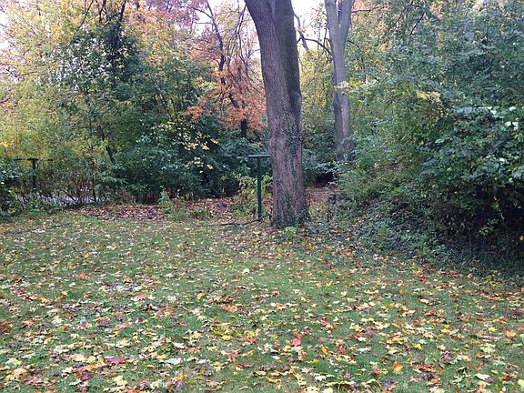 5th image of 223 Evelyn Ave