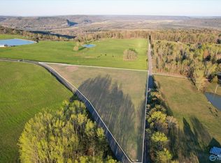 882 Bean Rock Rd, Union Grove, AL 35175