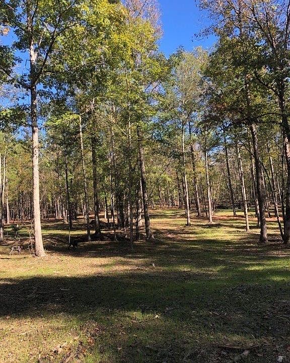 2nd image of 298C Pebble Hill Rd SE