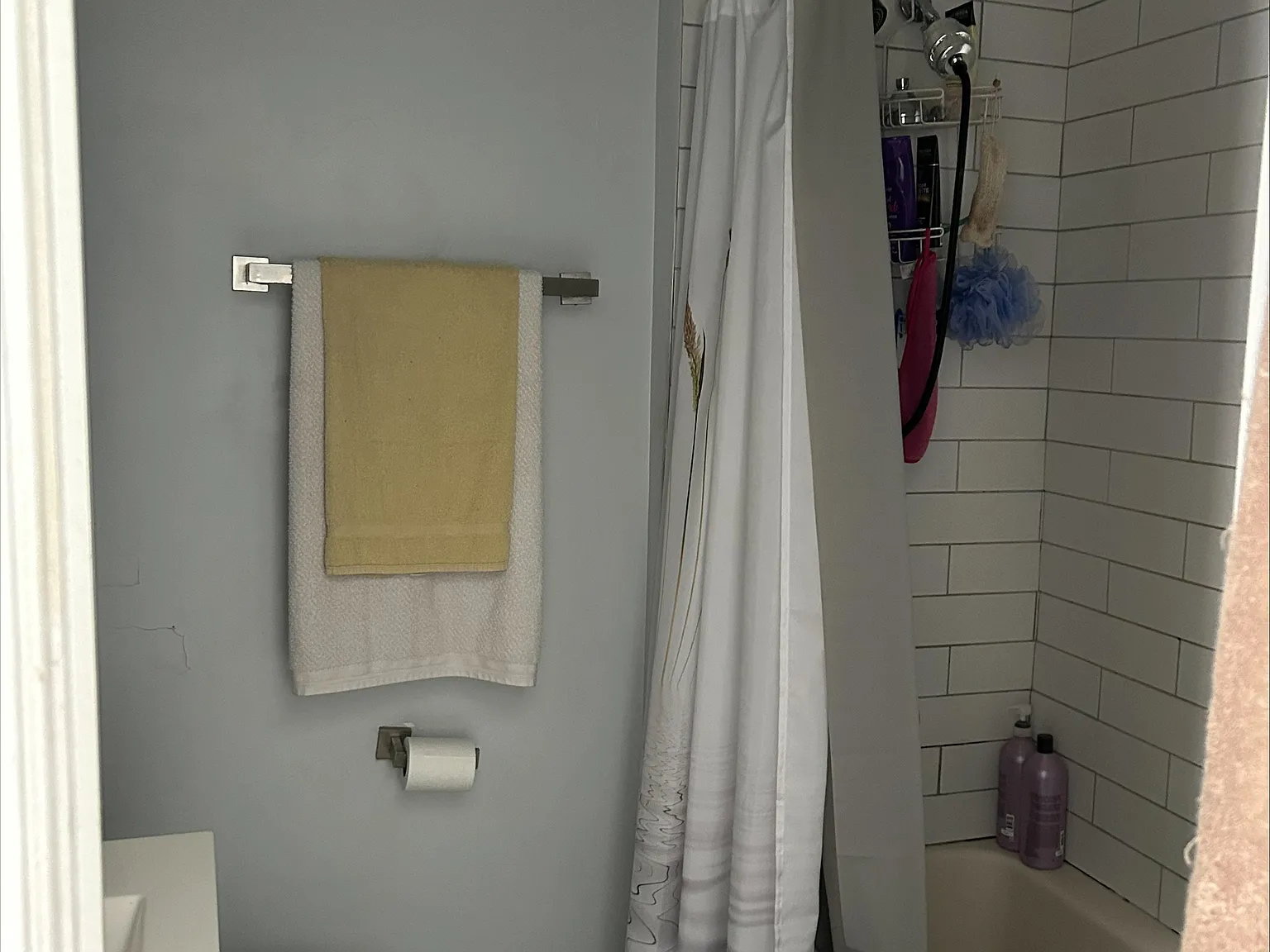 2 bed, $1,550 — Photo 2