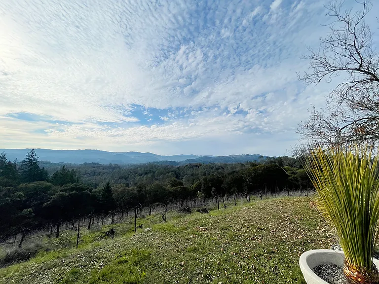 24401 Rich Ranch Rd — Photo 23