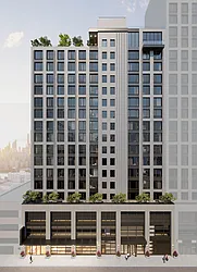TERRA at 45-19 Davis Street in Hunters Point