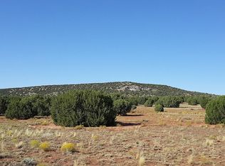 Road 8291, Concho, AZ 85924