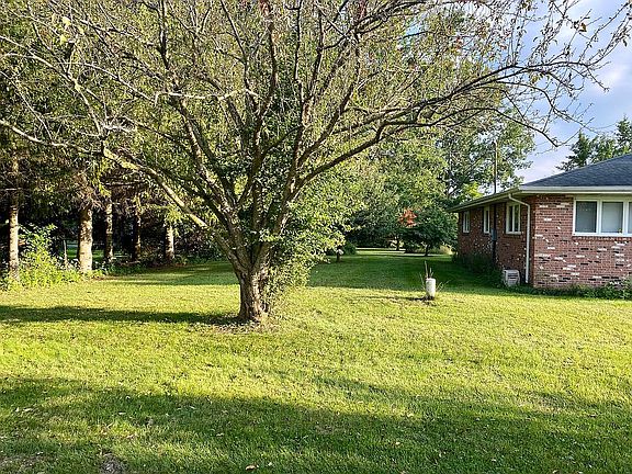 Side yard view, fruit trees 