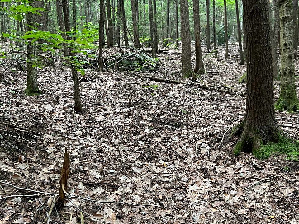 00 Pond Brook Road UNIT 14, West Chesterfield, NH 03466 Zillow