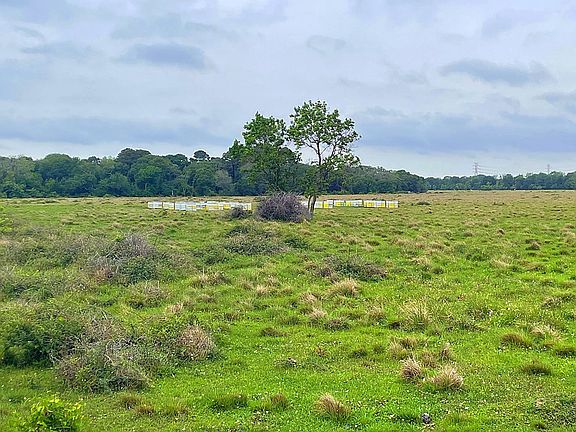 2nd image of 0 Fm 2917 Rd