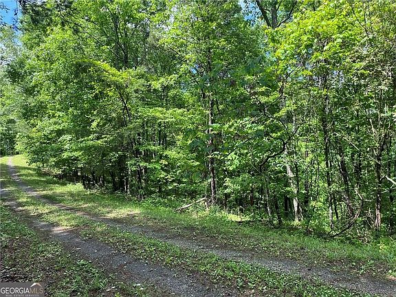 5th image of 1720 Rebekah Ridge Rd