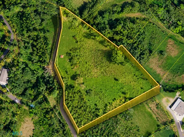 1 Bo Cruces Aguada, Aguada, PR 00602