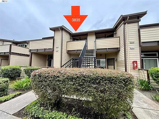 3835 Yorkshire St — Photo 11