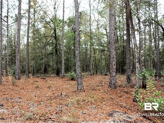 5th image of 8190B Dixon Rd
