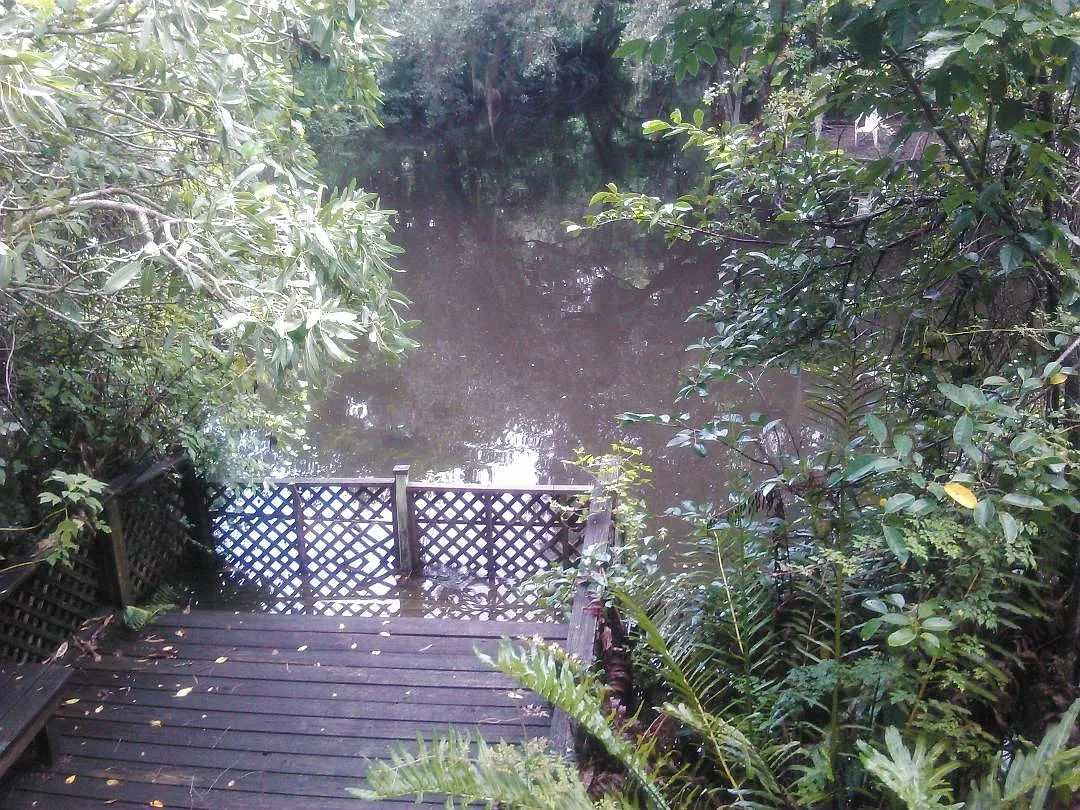 Tennessee St, Bonita Springs — Photo 2