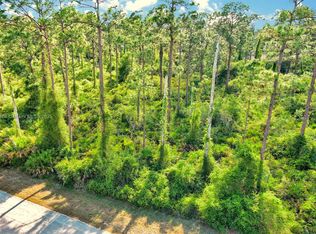 2019 Columbus Ave, Alva, FL 33920