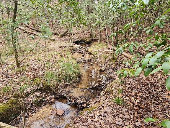 5th image of 995AC Hicks Gap Rd