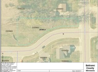 1401 3rd St NE, Bemidji, MN 56601