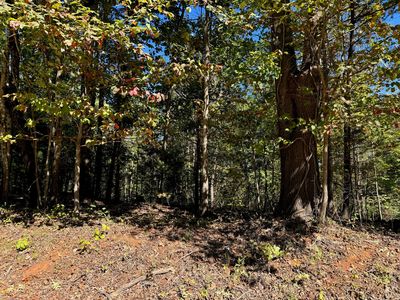 3 Narrows Rd, Boones Mill, VA, 24065