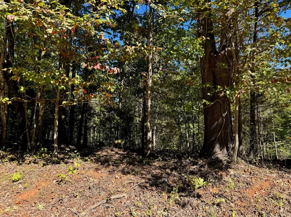 3 Narrows Rd, Boones Mill, VA 24065