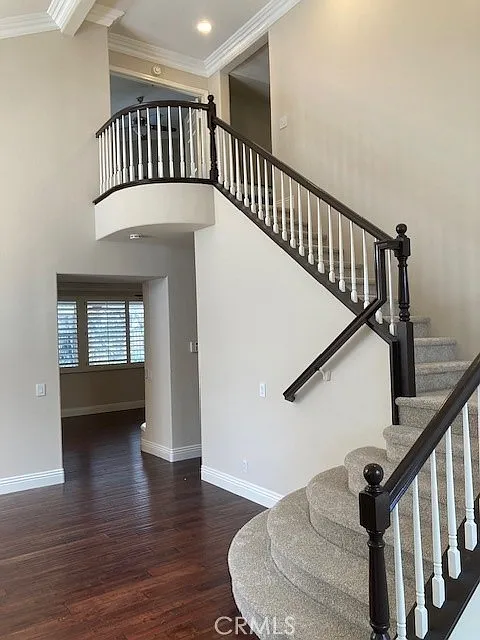 4 bed, 2.5 bath, 2302 sqft, $5,250 — Photo 4