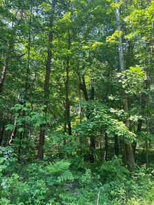 Blair St, West Olive, MI, 49460