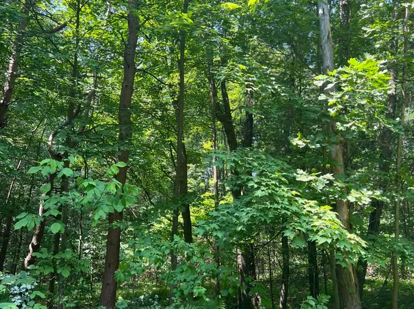 Blair St, West Olive, MI 49460