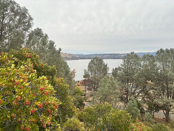10860 to left of Toyon bush