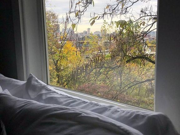 Window View