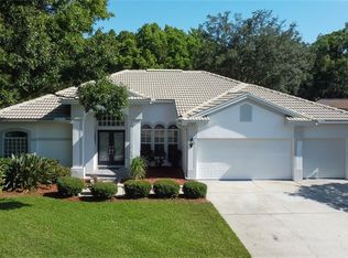 1327 Kings Way Ln, Tarpon Springs, FL 34688