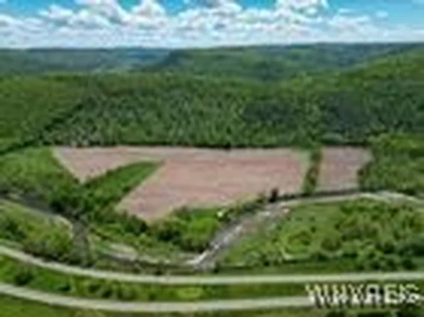 Christian Hollow Rd #5, Pine City, NY 14871