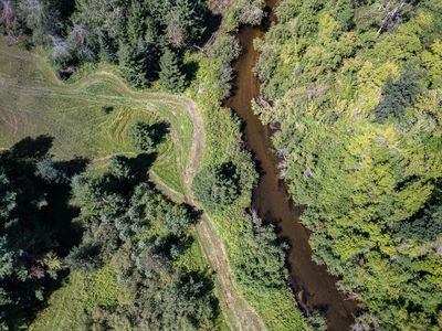 V/l 10ac Trowbridge Rd, Wolverine, MI, 49799