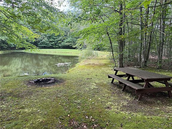 4th image of 6804 Canadice Hill Rd