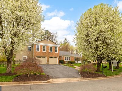 5963 Ranleigh Manor Dr, Mc Lean, VA, 22101