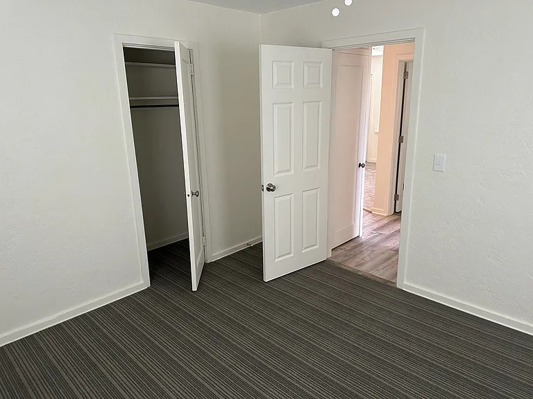 529 S Palmetto Ave — Photo 15