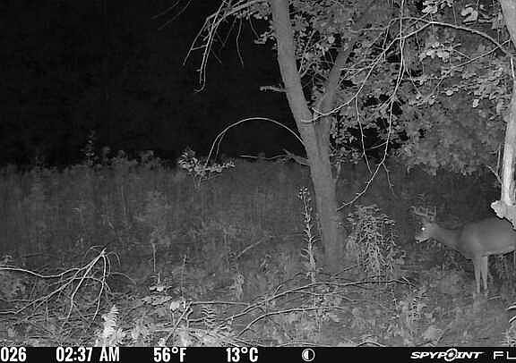 5th image of Old Beechwood Rd