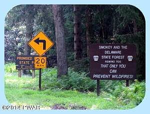 Delaware State Forest