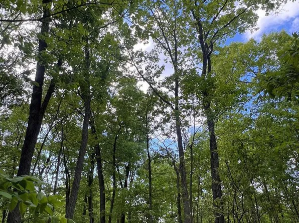 0 Owensville Rd, Lucasville, OH 45648