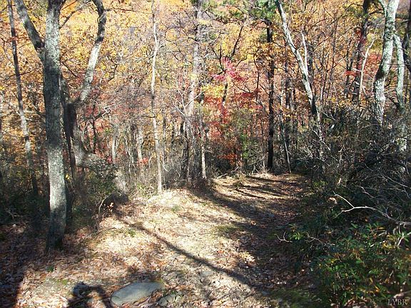4th image of 0 Old Stoney Creek Rd