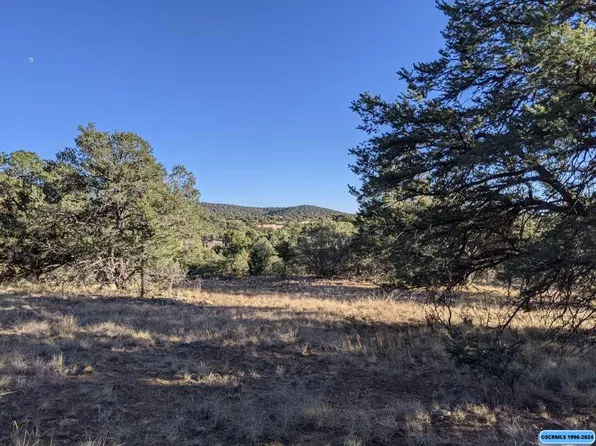 21 Vesuvius Way, Silver City, NM 88061