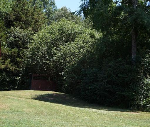 5th image of 120 Pecan Pl
