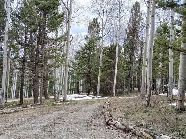 561 Crest Drive, Cimarron, CO 81220