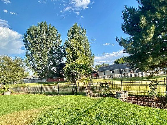 Backyard3