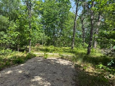 W Yale Ave, Baldwin, MI, 49304