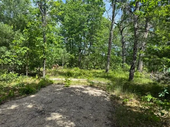 W Yale Ave, Baldwin, MI 49304