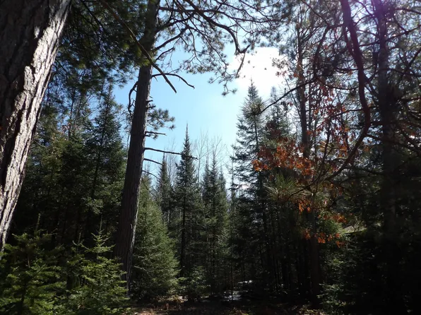 16 River St, Rhinelander, WI 54501