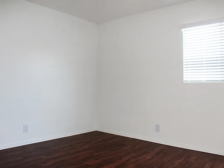Our windows have horizontal blinds.