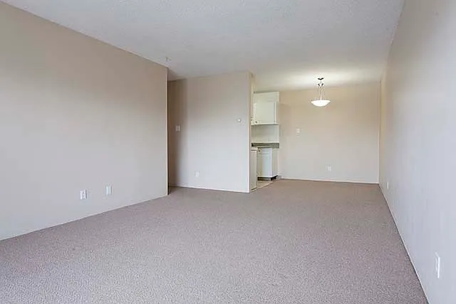 827 Selkirk Ave — Photo 6