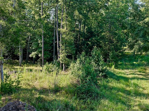 5th image of 0 Lewis Mill Rd