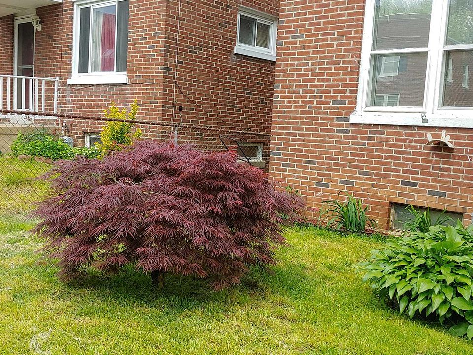 2nd image of 743 S Plum St