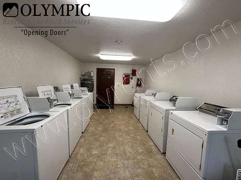 Coin Laundry_03052026