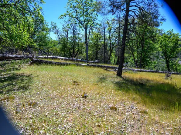230 Shasta Springs Rd, Weaverville, CA 96093