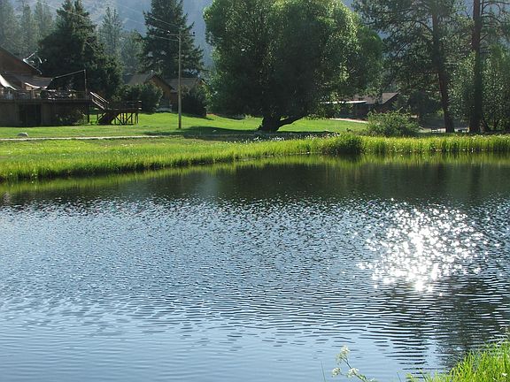 Trout ponds in front of cabin